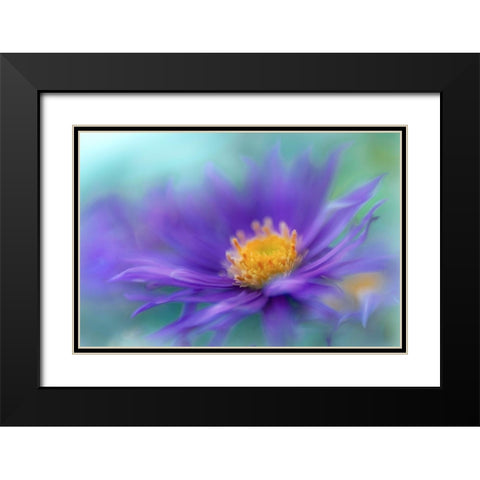 Gold and Purple in the Mist V Black Modern Wood Framed Art Print with Double Matting by Hunt, Gillian