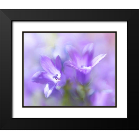 Ring the Bells of Change I Black Modern Wood Framed Art Print with Double Matting by Hunt, Gillian