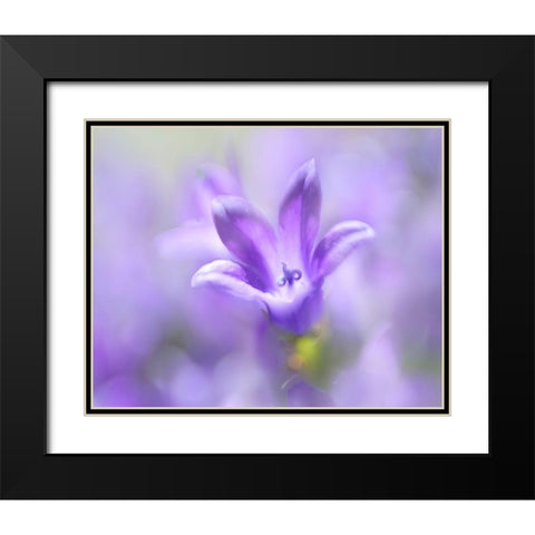 Ring the Bells of Change II Black Modern Wood Framed Art Print with Double Matting by Hunt, Gillian