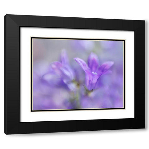 Ring the Bells of Change III Black Modern Wood Framed Art Print with Double Matting by Hunt, Gillian