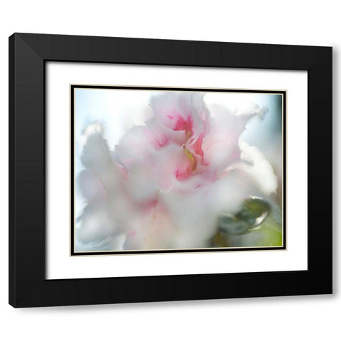 Hope in Pink II Black Modern Wood Framed Art Print with Double Matting by Hunt, Gillian