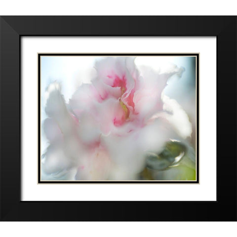 Hope in Pink II Black Modern Wood Framed Art Print with Double Matting by Hunt, Gillian