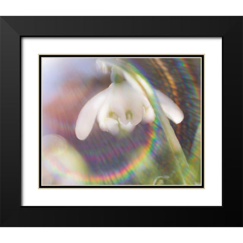 Glorious in Rainbow I Black Modern Wood Framed Art Print with Double Matting by Hunt, Gillian