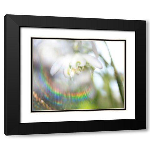 Glorious in Rainbow II Black Modern Wood Framed Art Print with Double Matting by Hunt, Gillian