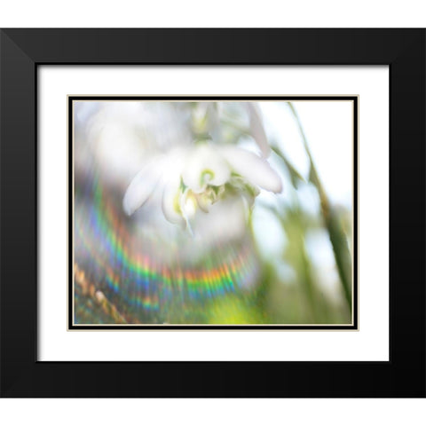 Glorious in Rainbow II Black Modern Wood Framed Art Print with Double Matting by Hunt, Gillian