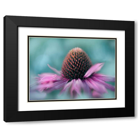 Sing to the Sun I Black Modern Wood Framed Art Print with Double Matting by Hunt, Gillian