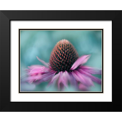 Sing to the Sun I Black Modern Wood Framed Art Print with Double Matting by Hunt, Gillian