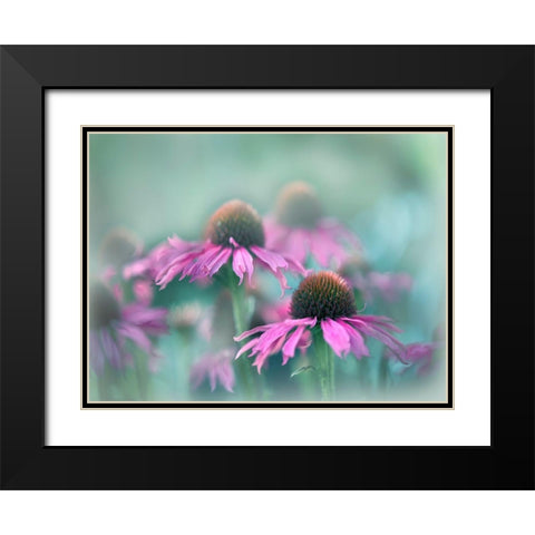 Sing to the Sun III Black Modern Wood Framed Art Print with Double Matting by Hunt, Gillian