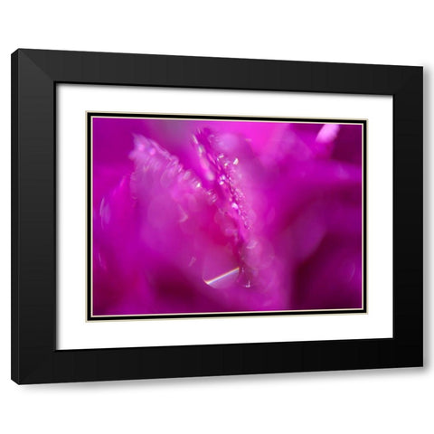 Hearts in Pink I Black Modern Wood Framed Art Print with Double Matting by Hunt, Gillian