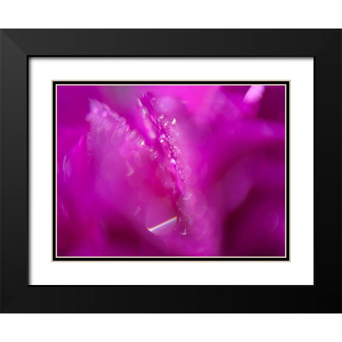 Hearts in Pink I Black Modern Wood Framed Art Print with Double Matting by Hunt, Gillian