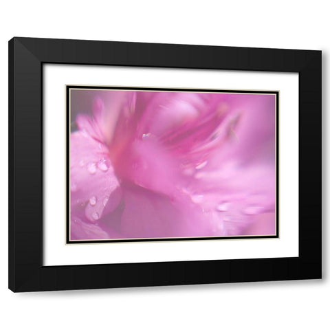 Hearts in Pink II Black Modern Wood Framed Art Print with Double Matting by Hunt, Gillian
