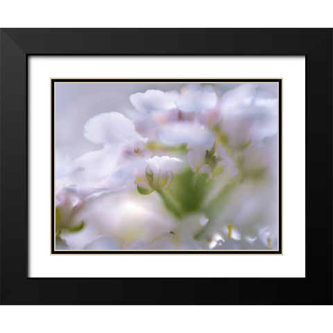 Mist of Lilac I Black Modern Wood Framed Art Print with Double Matting by Hunt, Gillian