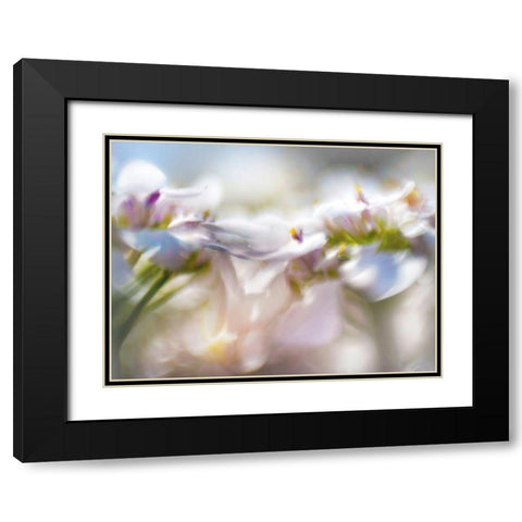 Mist of Lilac II Black Modern Wood Framed Art Print with Double Matting by Hunt, Gillian