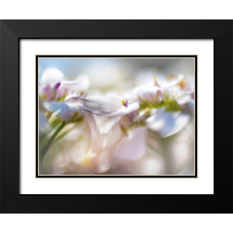 Mist of Lilac II Black Modern Wood Framed Art Print with Double Matting by Hunt, Gillian