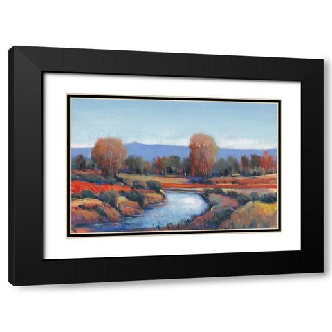 Hidden Creek II Black Modern Wood Framed Art Print with Double Matting by OToole, Tim