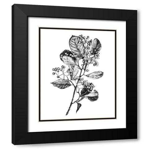 Hawthorn Berry Branch I Black Modern Wood Framed Art Print with Double Matting by Scarvey, Emma