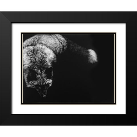 Wild Scratchboard III Black Modern Wood Framed Art Print with Double Matting by Chapman, Julie T.