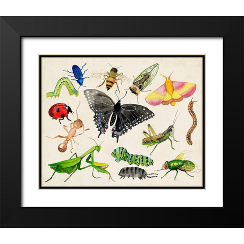 Bugdom I Black Modern Wood Framed Art Print with Double Matting by Ludwig, Alicia