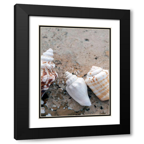Gifts of the Shore IV Black Modern Wood Framed Art Print with Double Matting by Ray, Elena