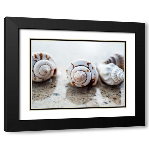 Gifts of the Shore XVIII Black Modern Wood Framed Art Print with Double Matting by Ray, Elena