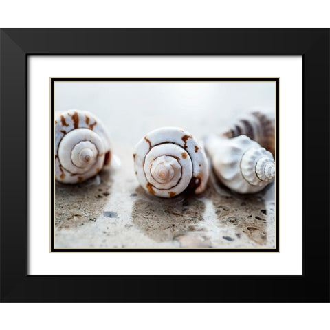 Gifts of the Shore XVIII Black Modern Wood Framed Art Print with Double Matting by Ray, Elena