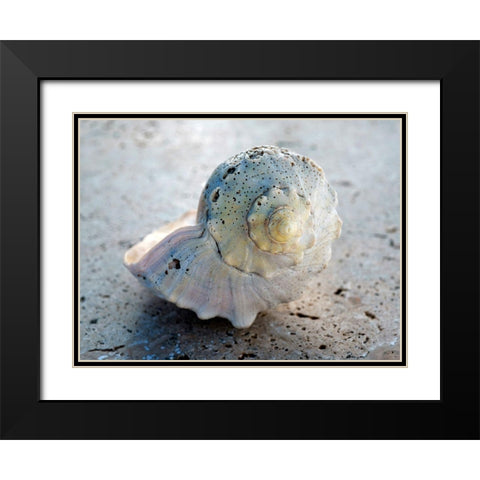 Gifts of the Shore XIX Black Modern Wood Framed Art Print with Double Matting by Ray, Elena