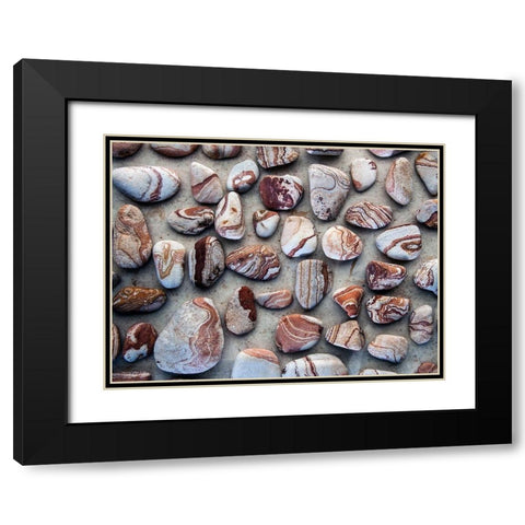 Gifts of the Earth I Black Modern Wood Framed Art Print with Double Matting by Ray, Elena