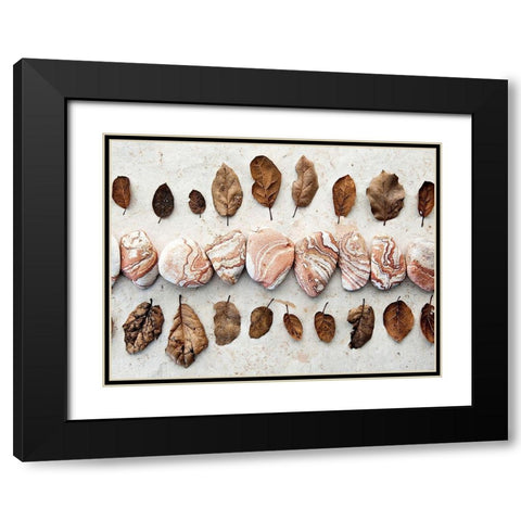 Gifts of the Earth III Black Modern Wood Framed Art Print with Double Matting by Ray, Elena
