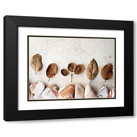 Gifts of the Earth IV Black Modern Wood Framed Art Print with Double Matting by Ray, Elena