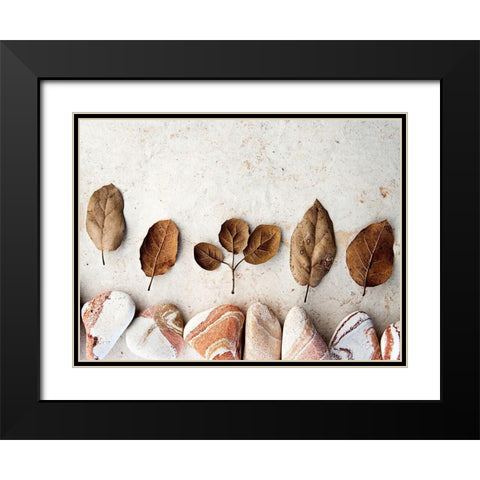 Gifts of the Earth IV Black Modern Wood Framed Art Print with Double Matting by Ray, Elena