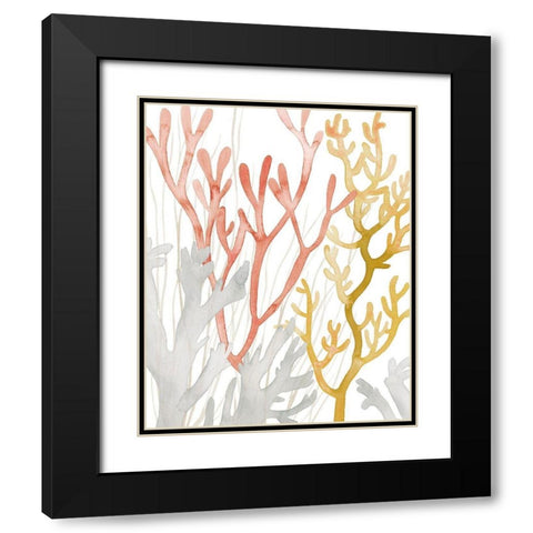 Desert Coral I Black Modern Wood Framed Art Print with Double Matting by Popp, Grace