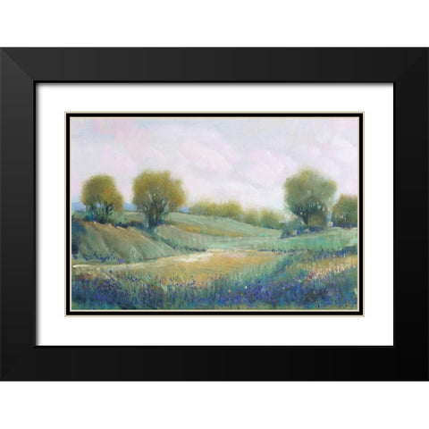 Paysage I Black Modern Wood Framed Art Print with Double Matting by OToole, Tim