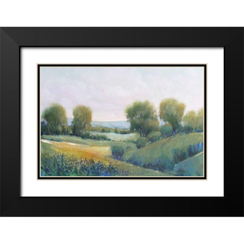 Paysage II Black Modern Wood Framed Art Print with Double Matting by OToole, Tim