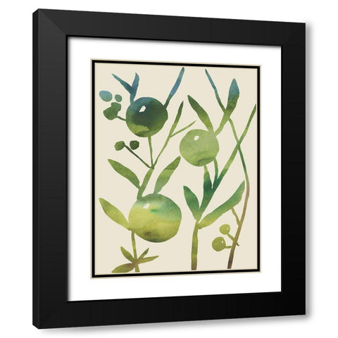 Spring Sprig IV Black Modern Wood Framed Art Print with Double Matting by Zarris, Chariklia