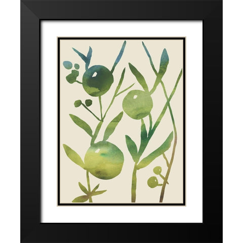 Spring Sprig IV Black Modern Wood Framed Art Print with Double Matting by Zarris, Chariklia