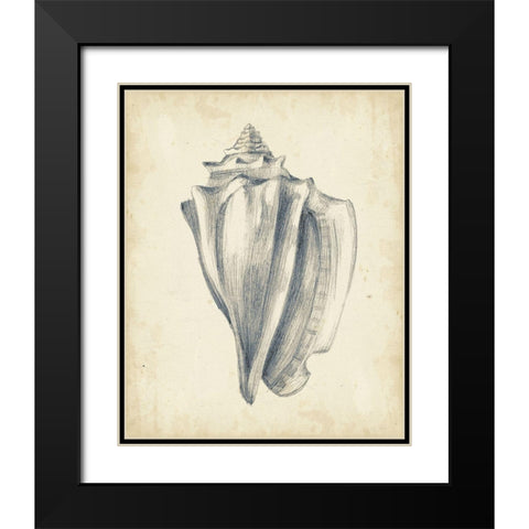 Custom Antique Shell Study IV (ASH) Black Modern Wood Framed Art Print with Double Matting by Harper, Ethan