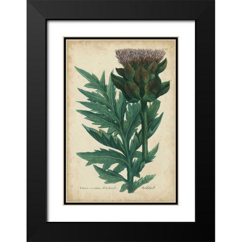 Weinmann Foliage and Fruit II Black Modern Wood Framed Art Print with Double Matting by Weinmann