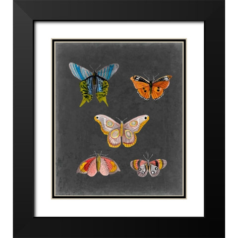 Butterflies on Slate II Black Modern Wood Framed Art Print with Double Matting by McCavitt, Naomi