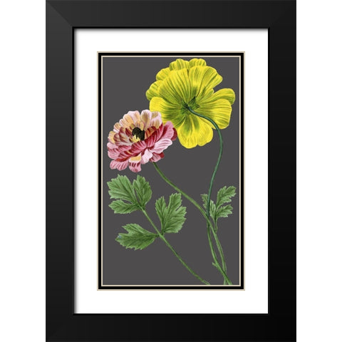 30x18 Midnight Garden Varieties I (ASH) Black Modern Wood Framed Art Print with Double Matting by Vision Studio