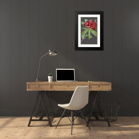 30x18 Midnight Garden Varieties VII (ASH) Black Modern Wood Framed Art Print with Double Matting by Vision Studio