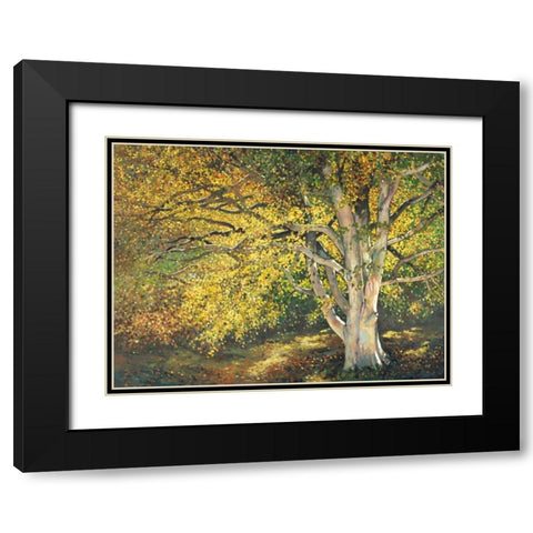 Golden Light I Black Modern Wood Framed Art Print with Double Matting by Reynolds, Graham