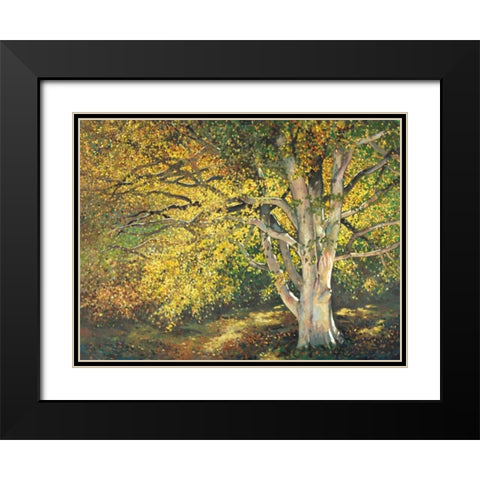 Golden Light I Black Modern Wood Framed Art Print with Double Matting by Reynolds, Graham