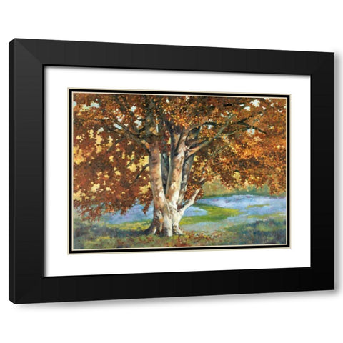 Golden Light II Black Modern Wood Framed Art Print with Double Matting by Reynolds, Graham