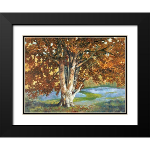 Golden Light II Black Modern Wood Framed Art Print with Double Matting by Reynolds, Graham