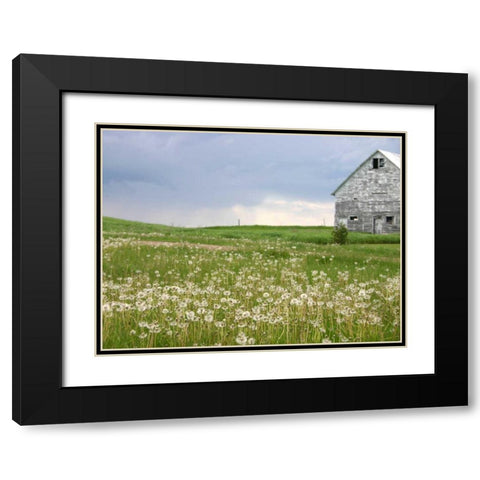 Barn Scape II Black Modern Wood Framed Art Print with Double Matting by Blixt, Ingrid