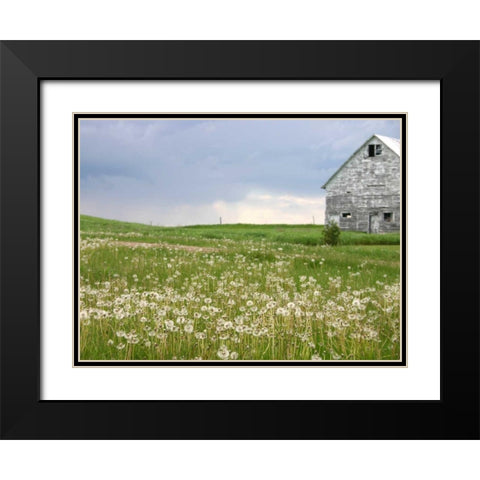 Barn Scape II Black Modern Wood Framed Art Print with Double Matting by Blixt, Ingrid