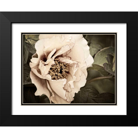 Golden Era Peony I Black Modern Wood Framed Art Print with Double Matting by Perry, Rachel