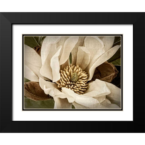 Classic Magnolia II Black Modern Wood Framed Art Print with Double Matting by Perry, Rachel