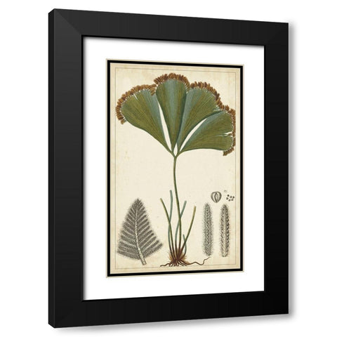 40x24 Foliage Botanique I (ASH) Black Modern Wood Framed Art Print with Double Matting by Turpin