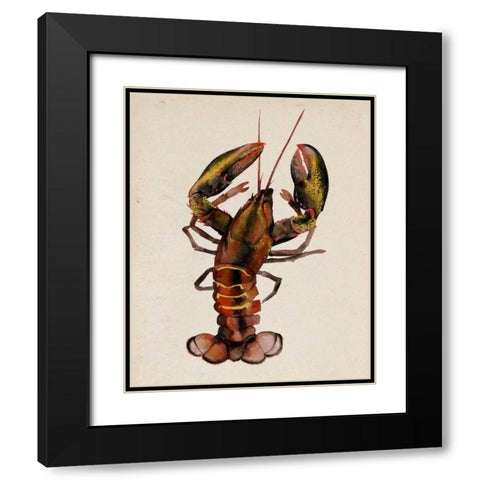 Sea Dweller II Black Modern Wood Framed Art Print with Double Matting by Popp, Grace